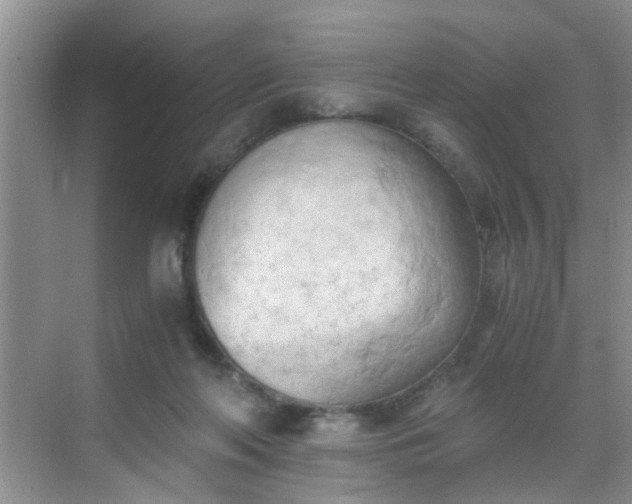 X0000068750214200605051548