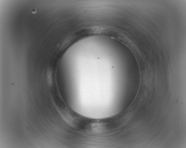 X0000068750216200605051548