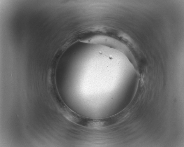 X0000068750217200605051548