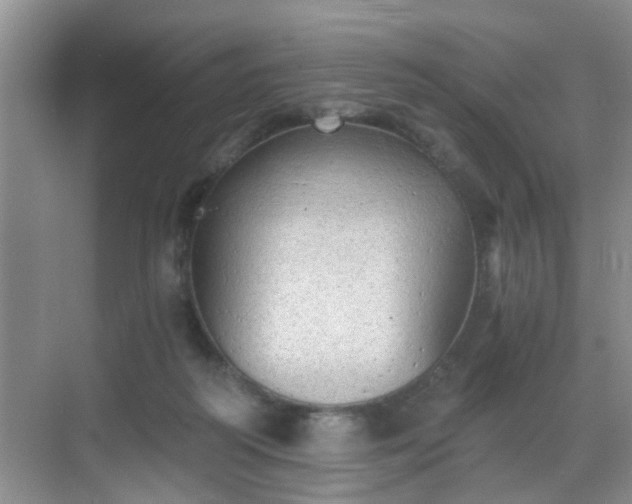 X0000068750218200605051548