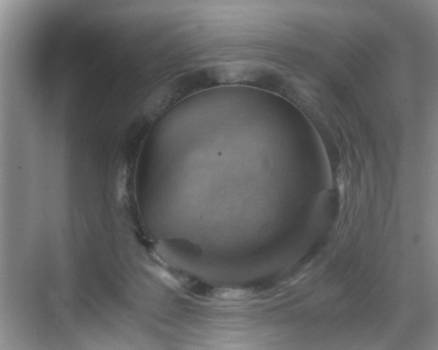 X0000068750219200605051548