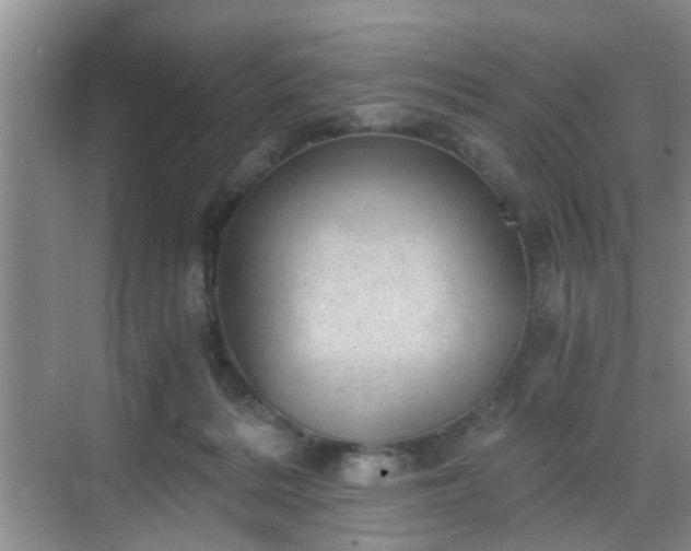 X0000068750220200605051548