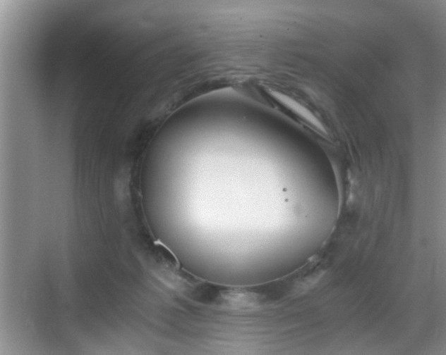 X0000068750221200605051548