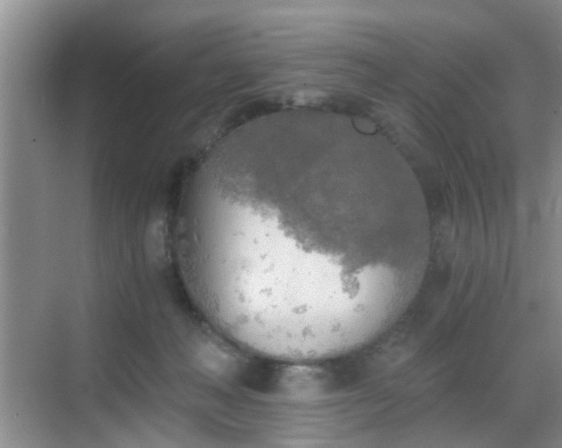 X0000068750222200605051548