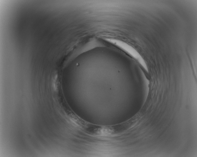 X0000068750223200605051548