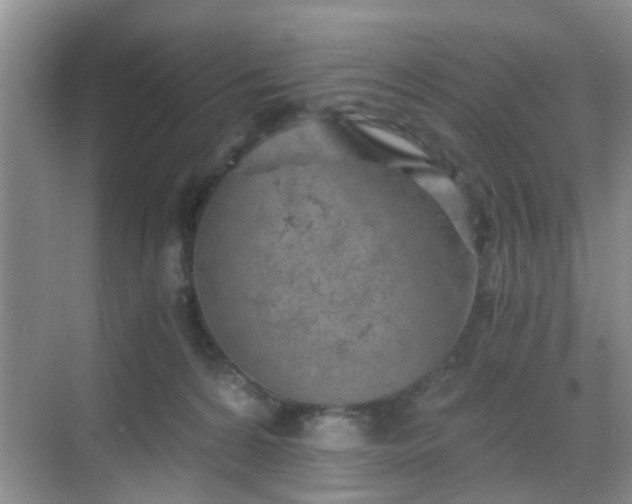 X0000068750224200605051548