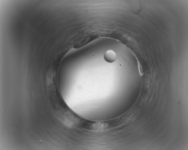 X0000068750225200605051548