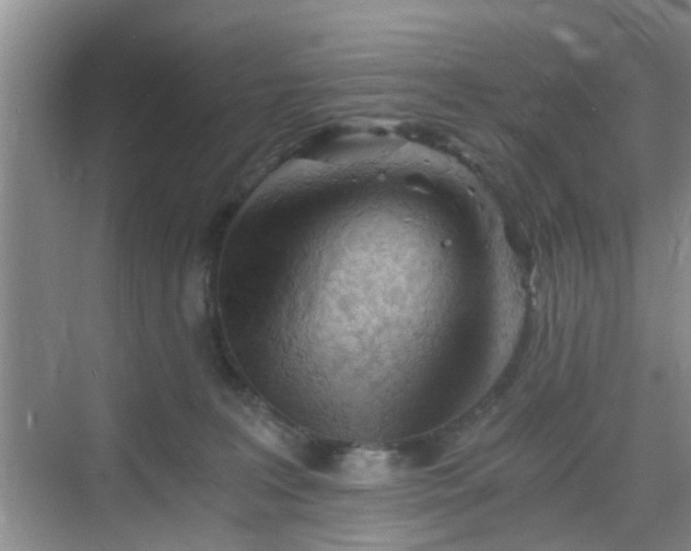 X0000068750227200605051548