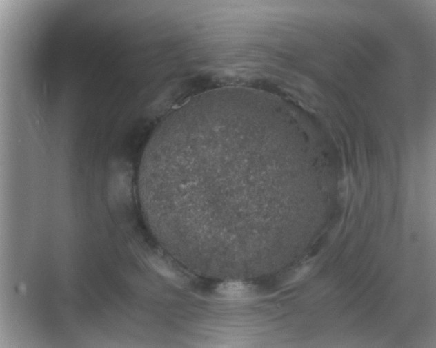 X0000068750231200605051548