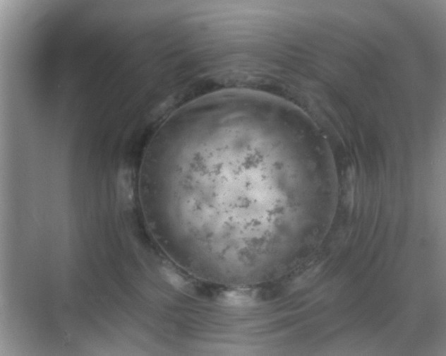 X0000068750232200605051548