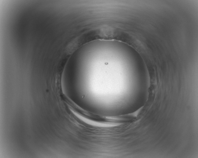 X0000068750233200605051548