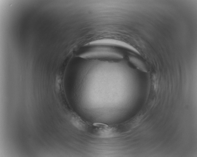 X0000068750235200605051548