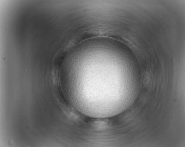 X0000068750236200605051548