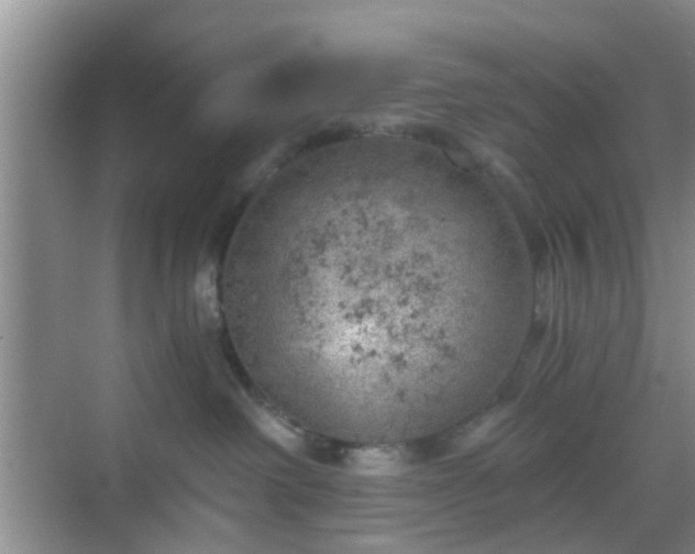 X0000068750238200605051548