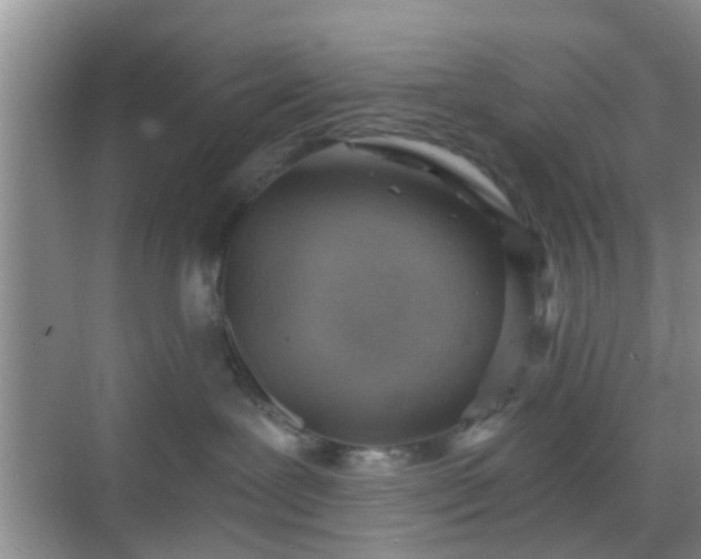 X0000068750239200605051548