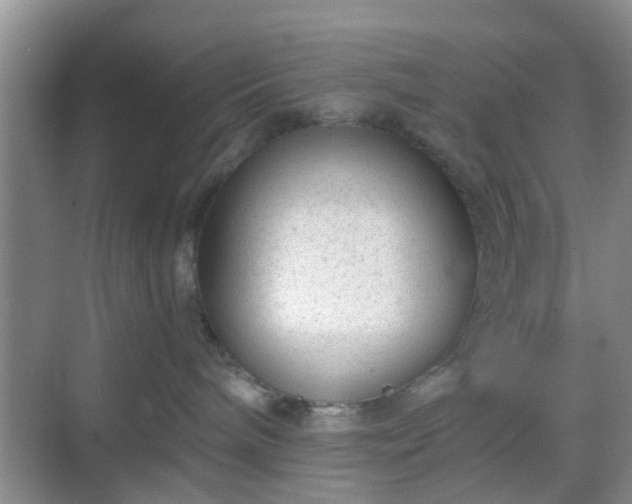 X0000068750240200605051548