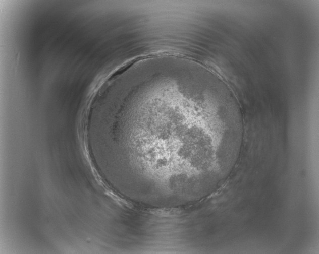 X0000068750241200605051547