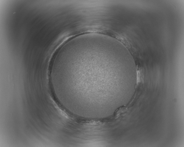 X0000068750243200605051547