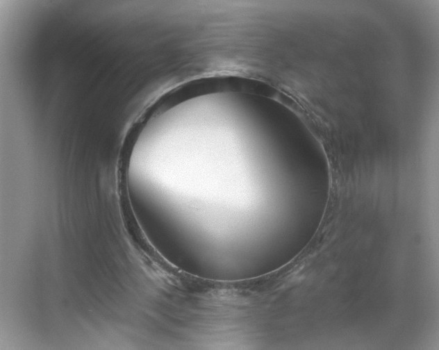 X0000068750244200605051547