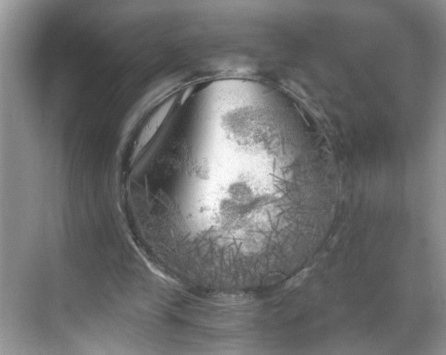 X0000068750245200605051547