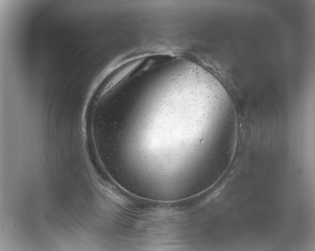 X0000068750246200605051547