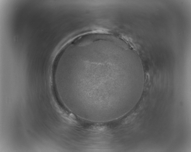 X0000068750247200605051547