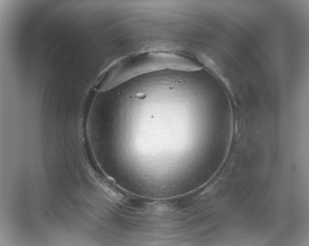 X0000068750249200605051547