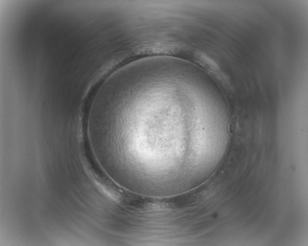 X0000068750250200605051547