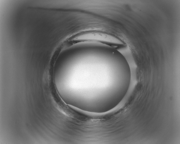 X0000068750252200605051547