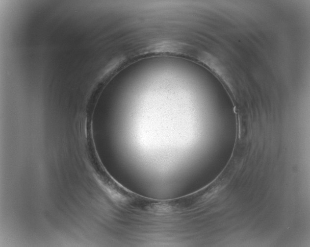 X0000068750253200605051547