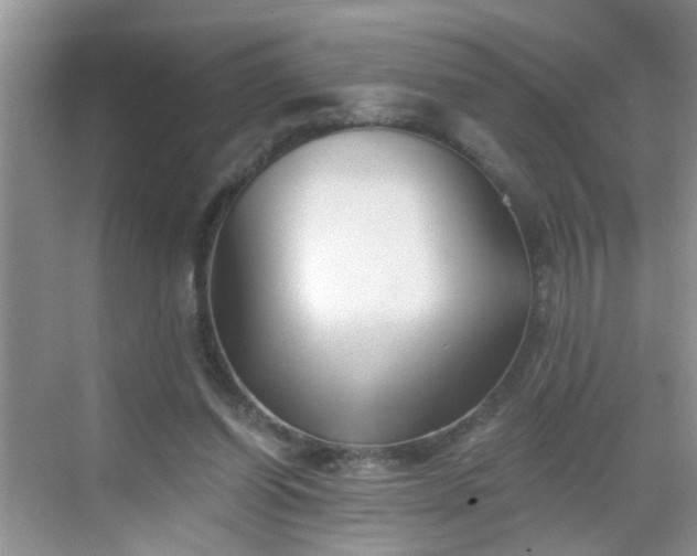 X0000068750254200605051547