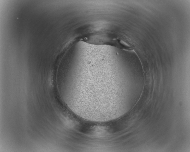 X0000068750255200605051547