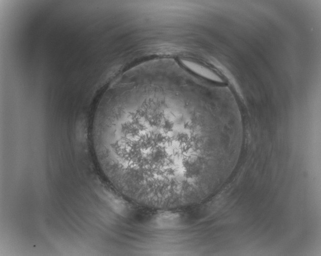 X0000068750257200605051547