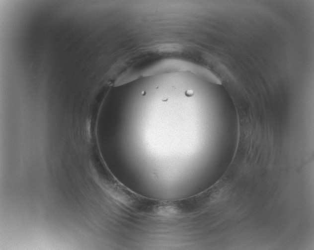 X0000068750262200605051547