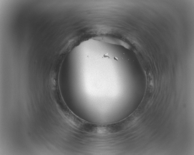 X0000068750264200605051547