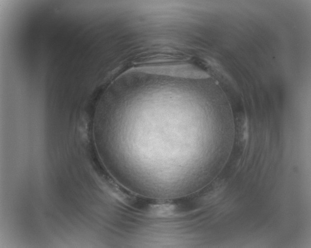 X0000068750266200605051547