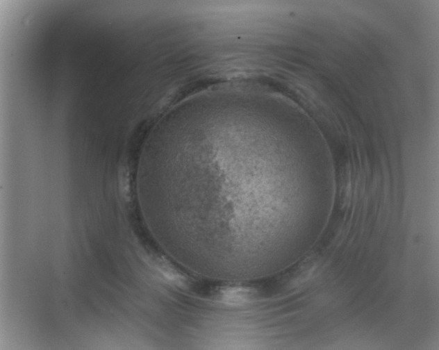 X0000068750268200605051547