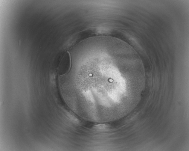 X0000068750269200605051547