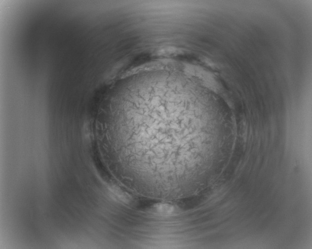 X0000068750272200605051548