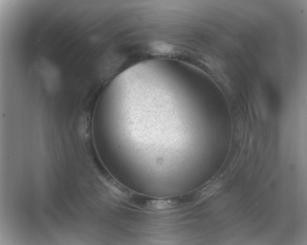 X0000068750273200605051548