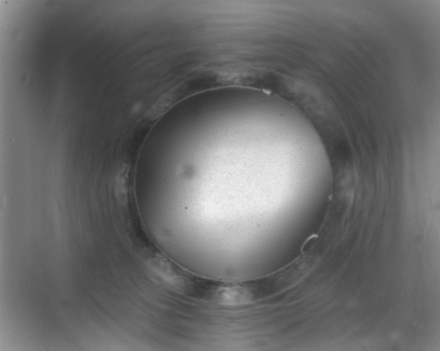 X0000068750275200605051548