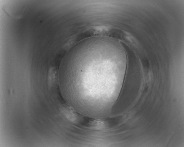 X0000068750276200605051548