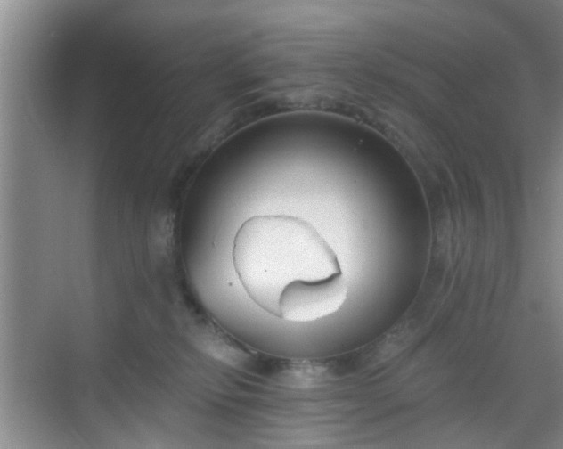 X0000068750278200605051548