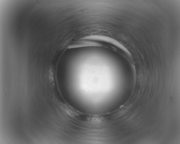 X0000068750282200605051548