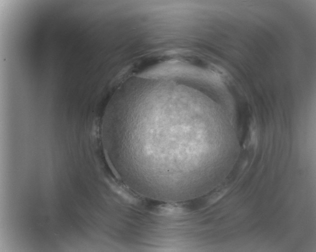 X0000068750284200605051548