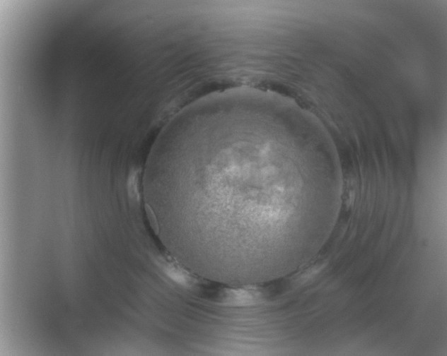 X0000068750286200605051548