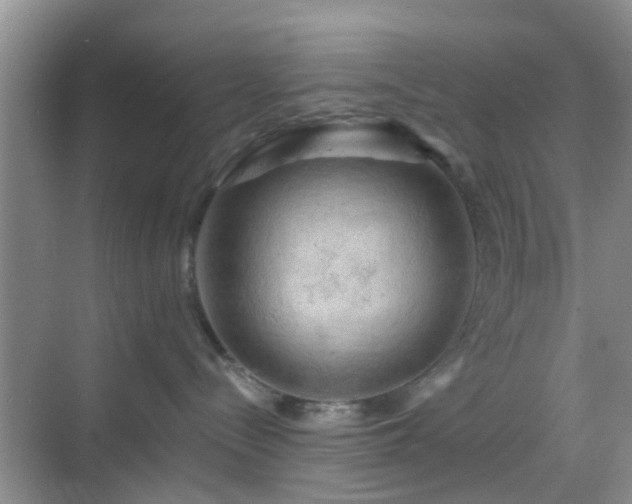 X0000068750288200605051548