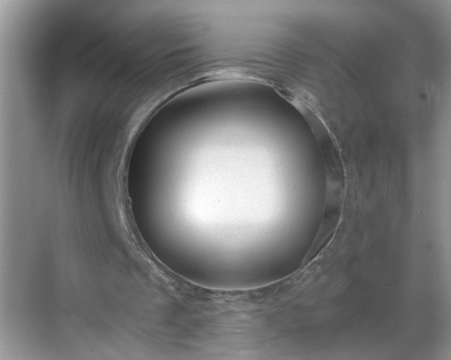 X0000068750289200605051547