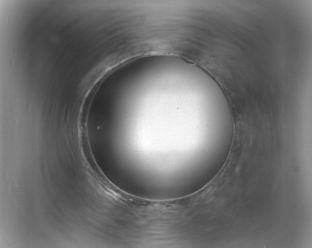 X0000068750290200605051547