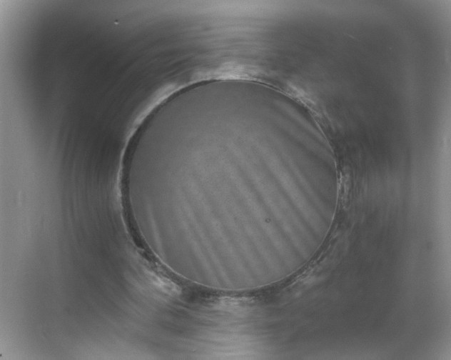 X0000068750292200605051547